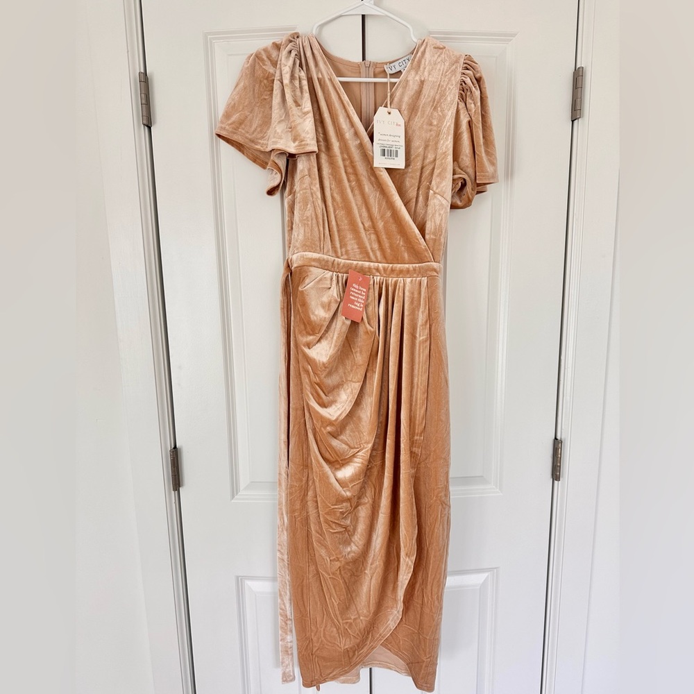 NWT Ivy City Co Lillie Dress in Champagne